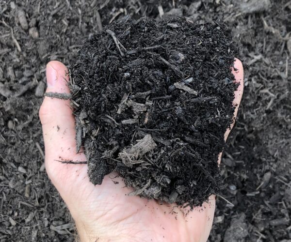 Detailed View of Composted Topsoil in Hand - Pine Straw King Premium Soil