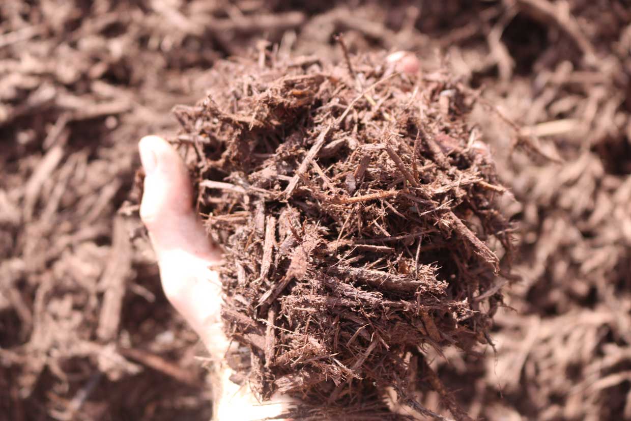 Demonstrating Texture of Brown Mulch - PSK Landscape Supply
