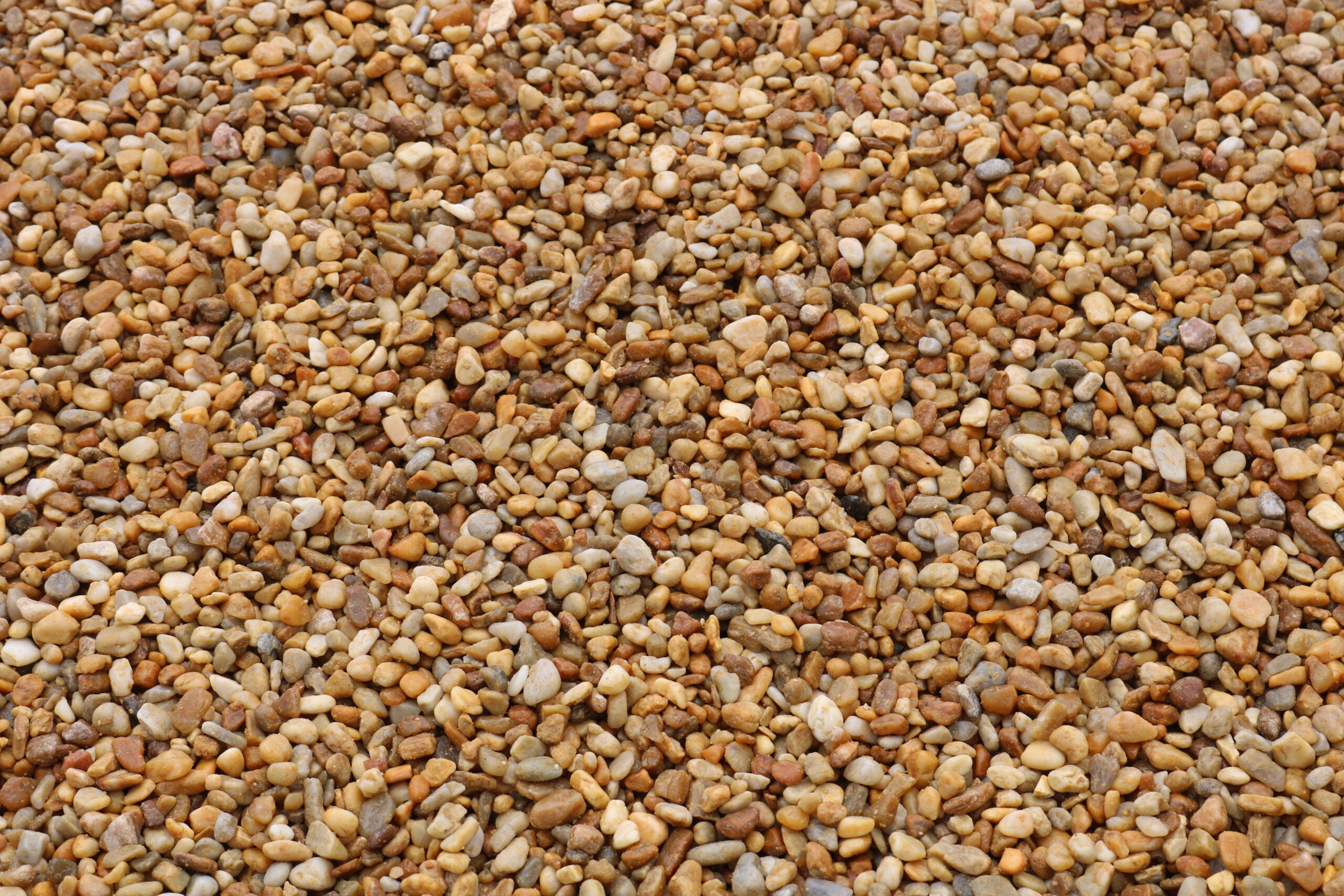 Bulk Pea Gravel Display - Ideal for Landscaping from Pine Straw King