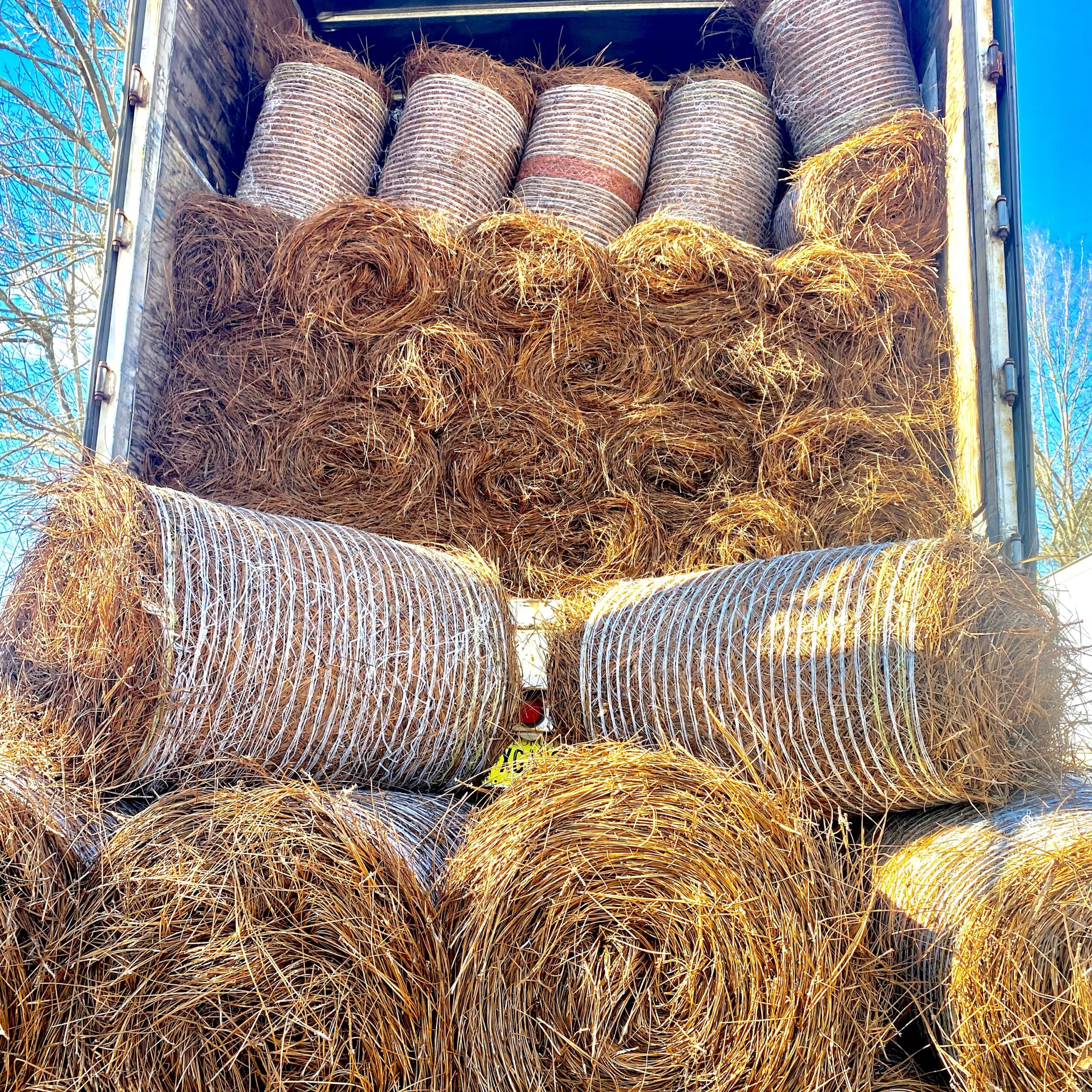 Long Needle Pine Straw Rolls Loaded in Trailer - Pine Straw King Delivery