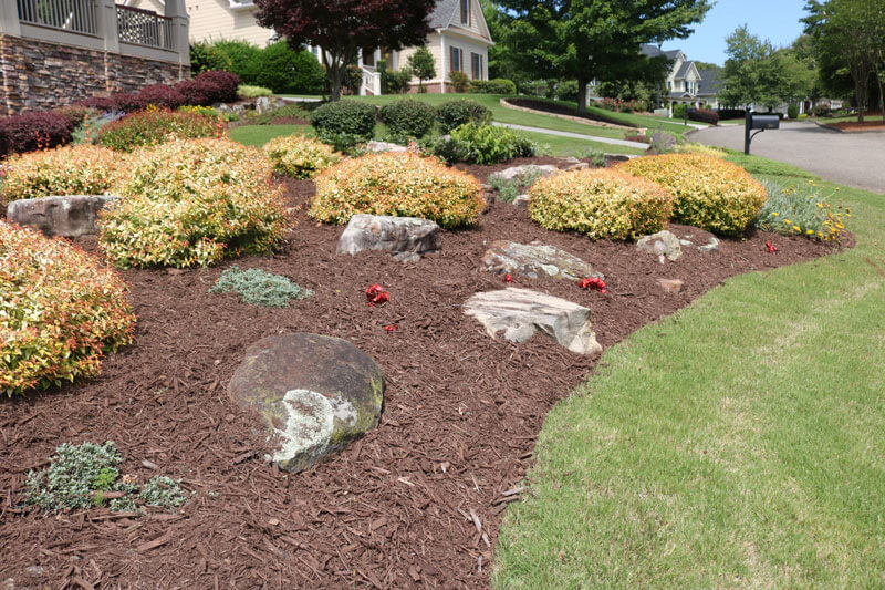 Brown Mulch Perfectly Laid in Landscaped Garden Bed - PSK