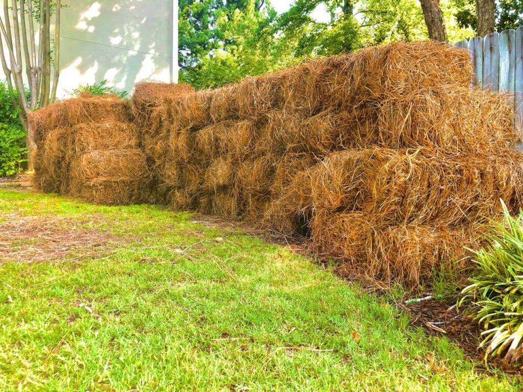 Long Needle Pine Straw Bale